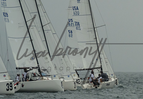 Cal Cup D2-36