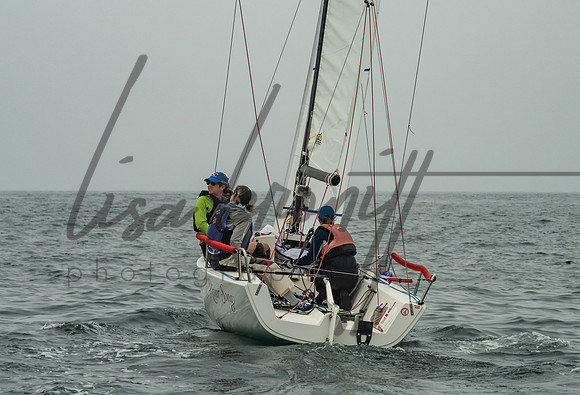 Cal Cup D2-65