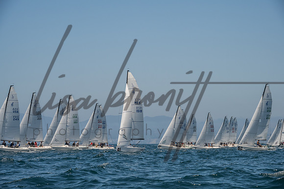 Cal Cup D1-53