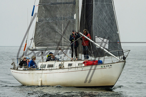 032622 DRYC Berger Stein-111