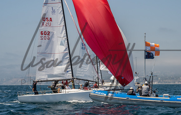 Cal Cup D1-103