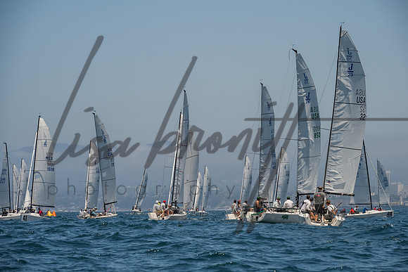 Cal Cup D1-38