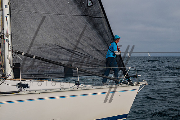 080322 CYC SS-206
