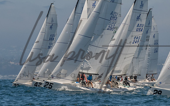 Cal Cup D1-49