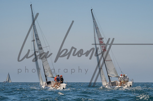 Cal Cup D1-80