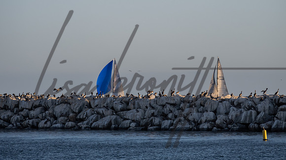SS 062321 (nw)-238