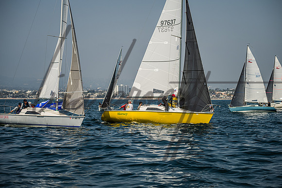 041325 CYC Harris-204