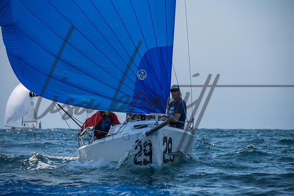 Cal Cup D1-4