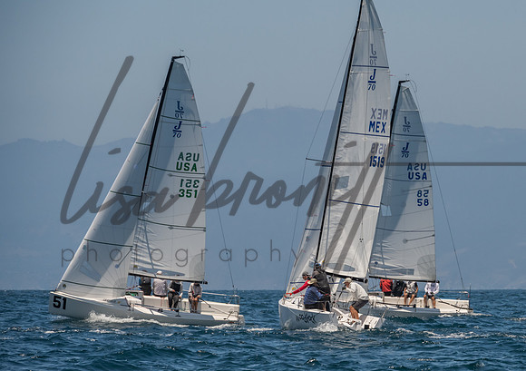 Cal Cup D1-84
