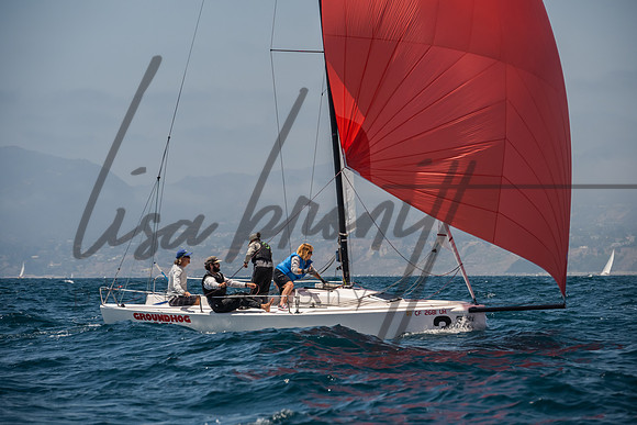 Cal Cup D1-132