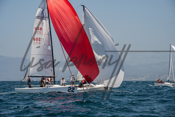 Cal Cup D1-101