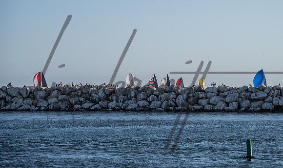 SS 062321 (nw)-65