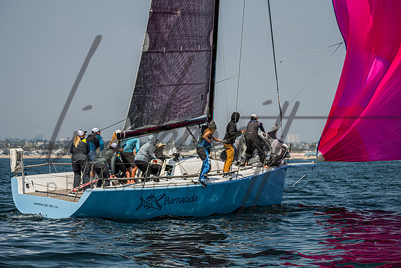 041325 CYC Harris-180