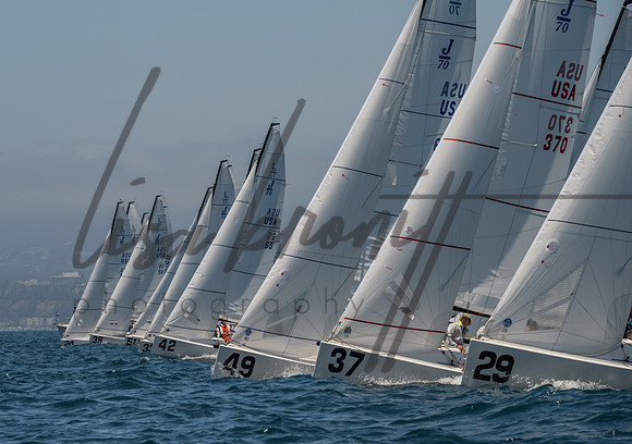 Cal Cup D1-66