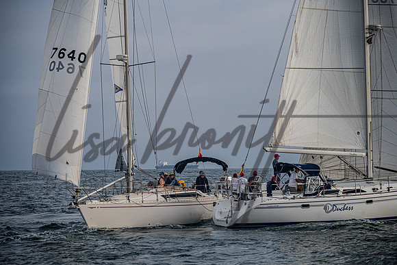 080322 CYC SS-205