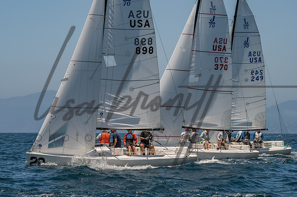 Cal Cup D1-72