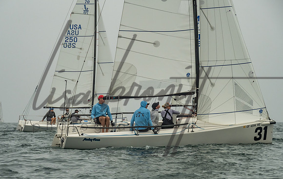 Cal Cup D2-80