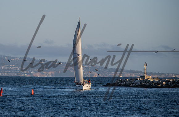 SS 062321 (nw)-274