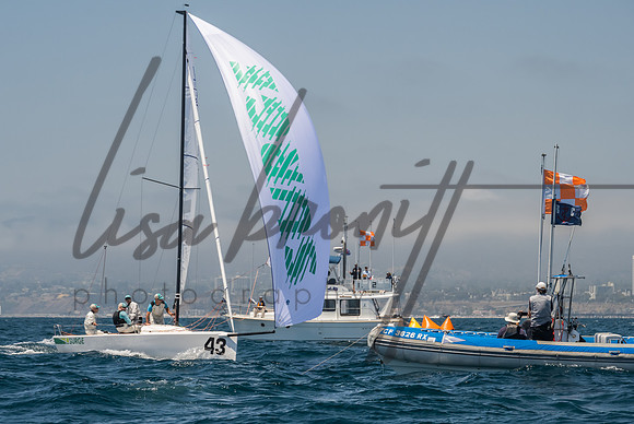 Cal Cup D1-100