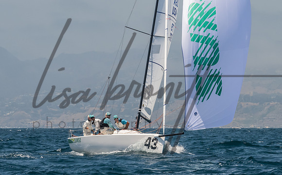 Cal Cup D1-99