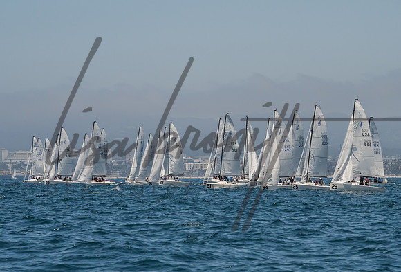 Cal Cup D1-41