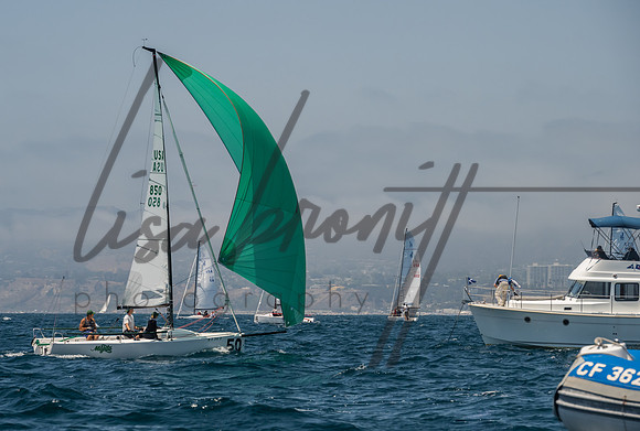 Cal Cup D1-144