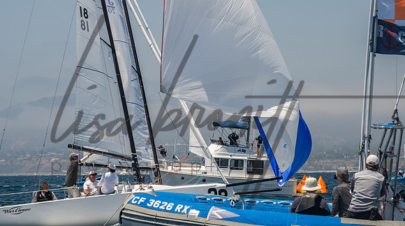 Cal Cup D1-113