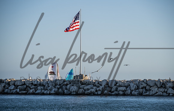 SS 062321 (nw)-113