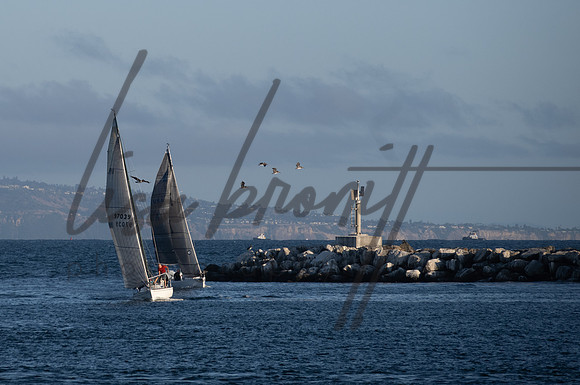 SS 062321 (nw)-206