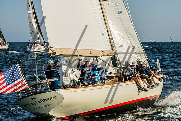 071724 CYC SS -101