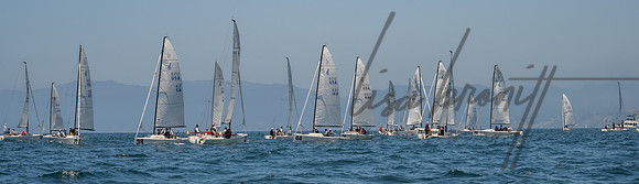 Cal Cup D1-26