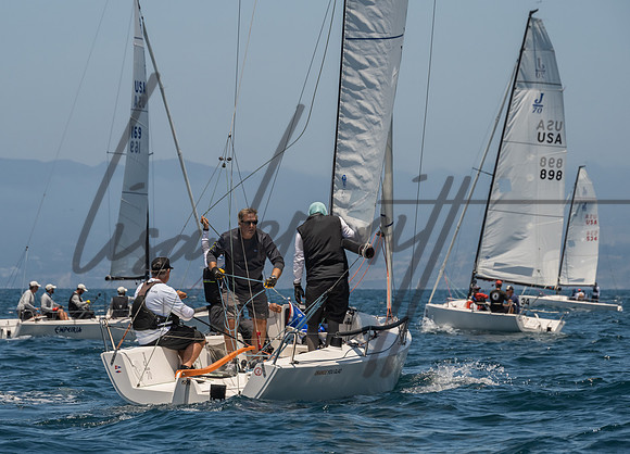 Cal Cup D1-37