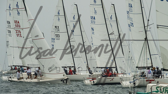 Cal Cup D2-50