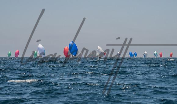 Cal Cup D1-92