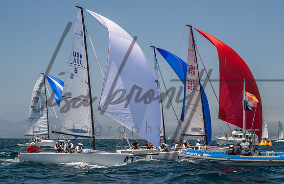Cal Cup D1-138
