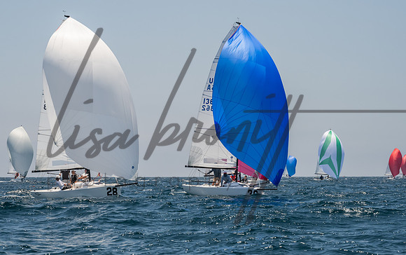 Cal Cup D1-106
