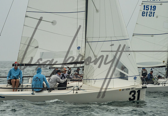 Cal Cup D2-79