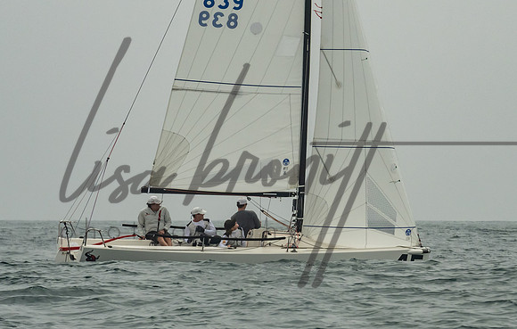 Cal Cup D2-84