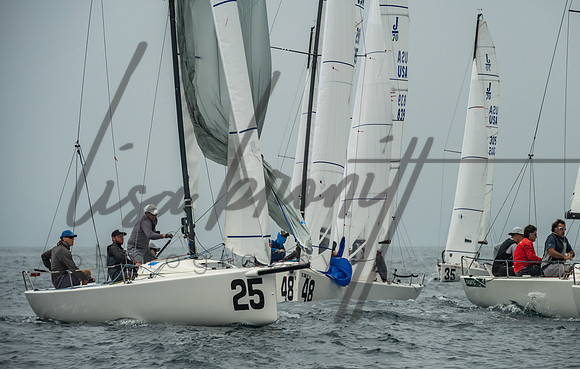 Cal Cup D2-170