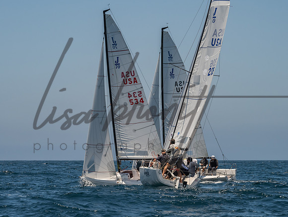 Cal Cup D1-82