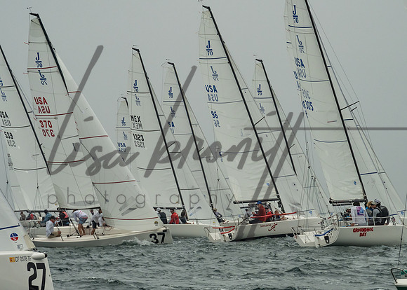 Cal Cup D2-51