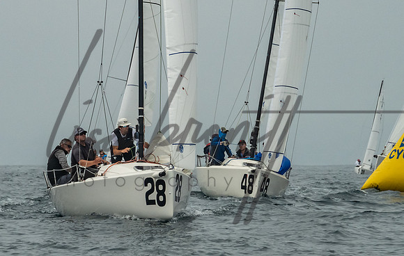 Cal Cup D2-166