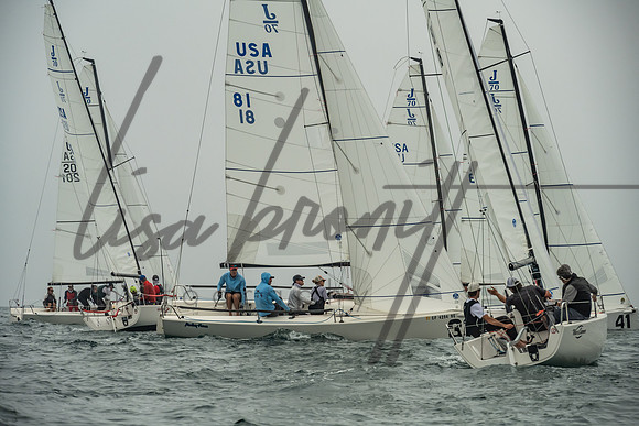Cal Cup D2-77