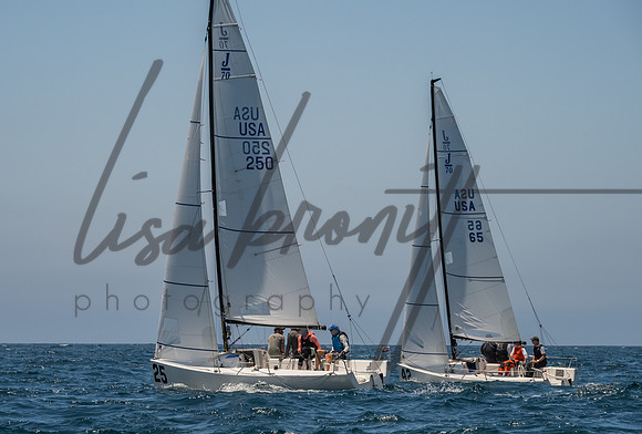 Cal Cup D1-85