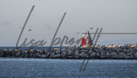 SS 062321 (nw)-215