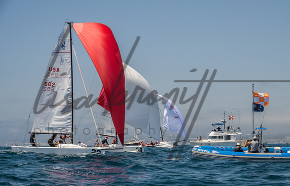 Cal Cup D1-102