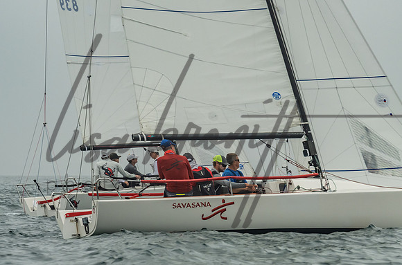 Cal Cup D2-29
