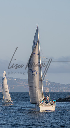 SS 062321 (nw)-239