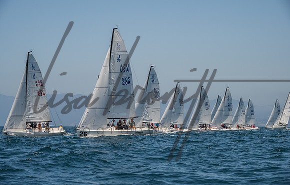 Cal Cup D1-77