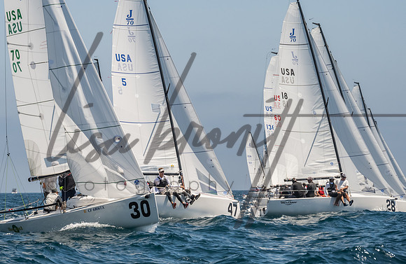 Cal Cup D1-161